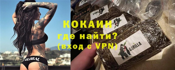 дживик Наволоки