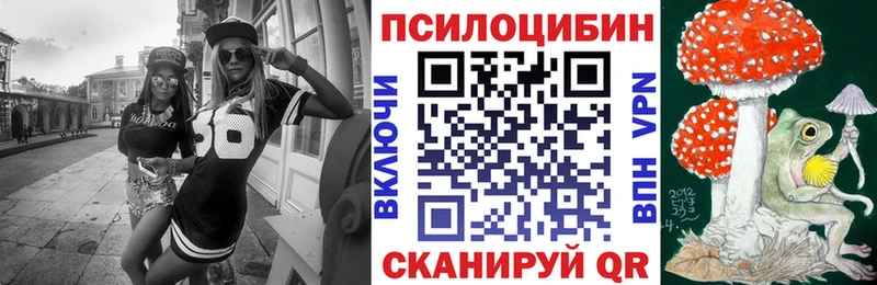 Псилоцибиновые грибы Cubensis Полярный